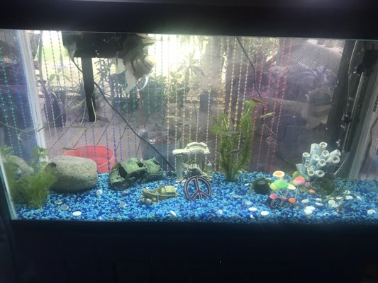 nahacky's fish store