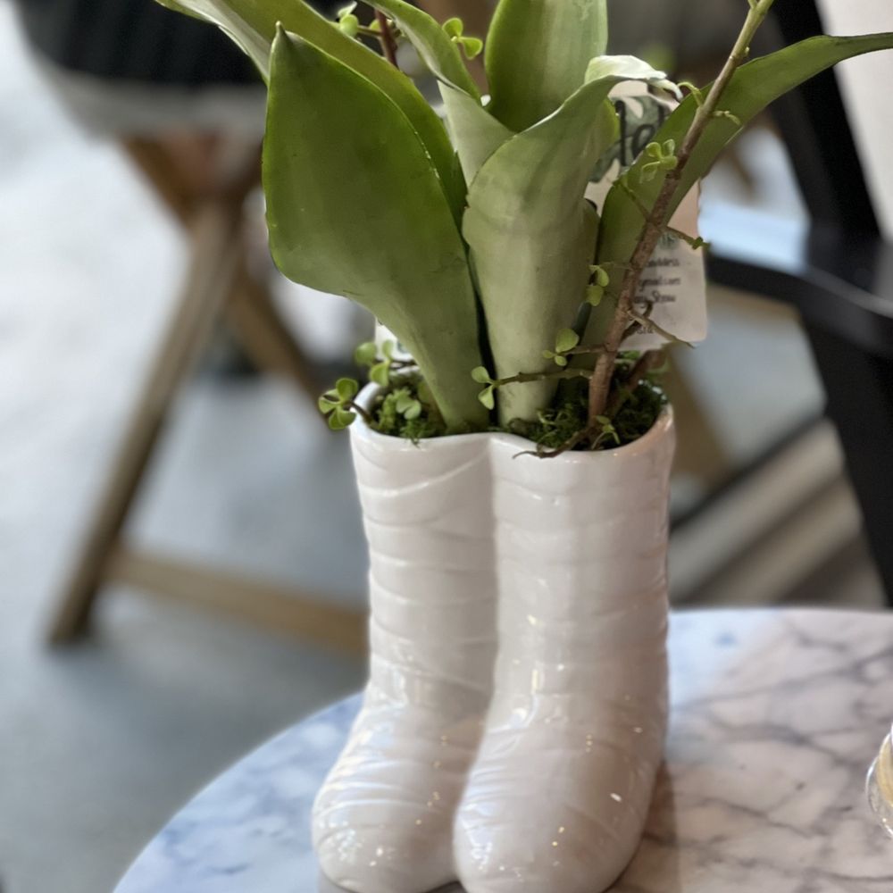 The Roasted Record - a pair of white boots with plants in them - Vinyl Records Near Me - Stuart, Florida The Roasted Record - a pair of white boots with plants in them - Vinyl Records Near Me - Stuart, Florida