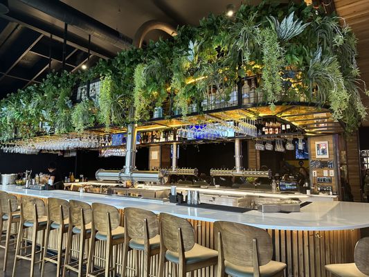 Citizens and Culture by null