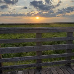 Paynes Prairie Preserve State Park - Sunrise from platform out in the savanna