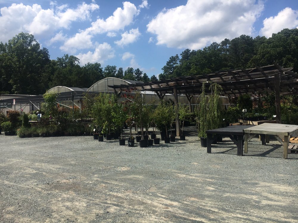 PIEDMONT FEED & GARDEN CENTER Updated August 2024 10 Reviews 4805 Nc Hwy 54 W, Chapel Hill