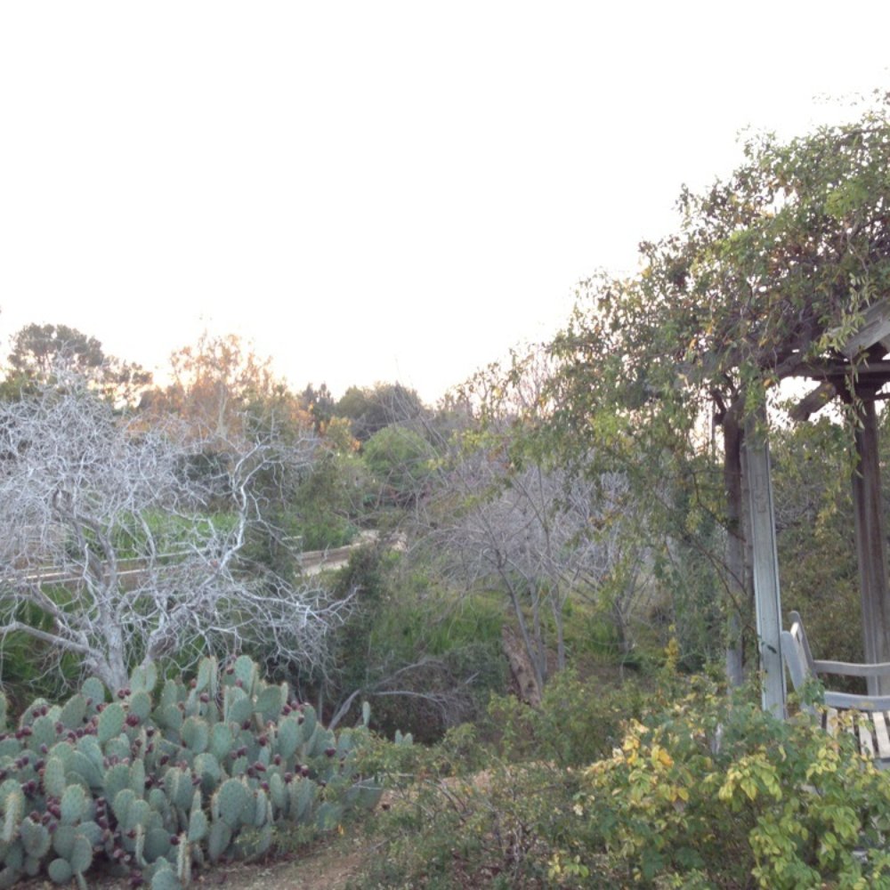 UCR Botanic Gardens - Scenic view - Botanical Gardens Near Me - Riverside, California UCR Botanic Gardens - Scenic view - Botanical Gardens Near Me - Riverside, California