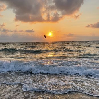 Delores Arcuri - Real Estate - Sun Rise!!!! Florida - Real Estate Agents Near Me Delores Arcuri - Real Estate - Sun Rise!!!! Florida - Real Estate Agents Near Me