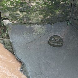 Freedom Park - Try to spot this little guy along the Little Sugar Creek trail.