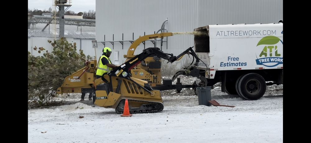 ATL Tree Work - tree service in Snellville, GA