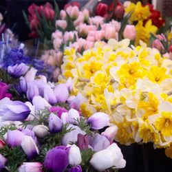 Olympia Farmers Market