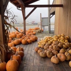 Blue House Farm