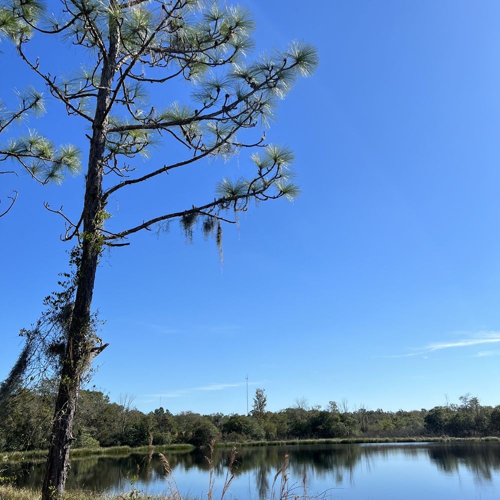 Bell Creek Nature Preserve - Pond views - Hiking Near Me - Riverview, Florida