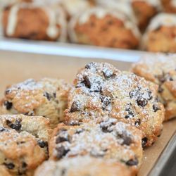 61hundred Bread - Chocolate scone