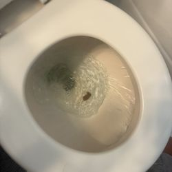 Raymond Temple Elementary School - Some kid was constipated
