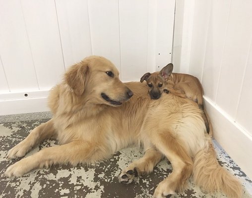 Crate Escape by null