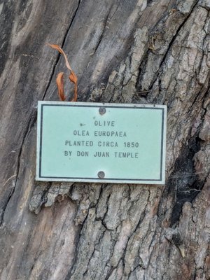 Rancho Los Cerritos by null