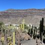 Photo of Cactualdea