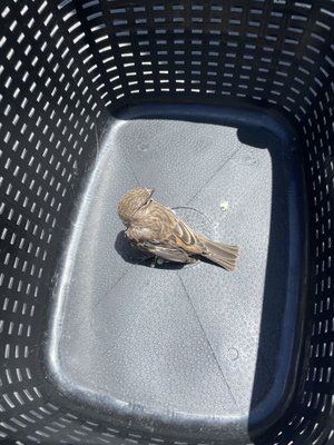 Wetlands & Wildlife Care Center by null