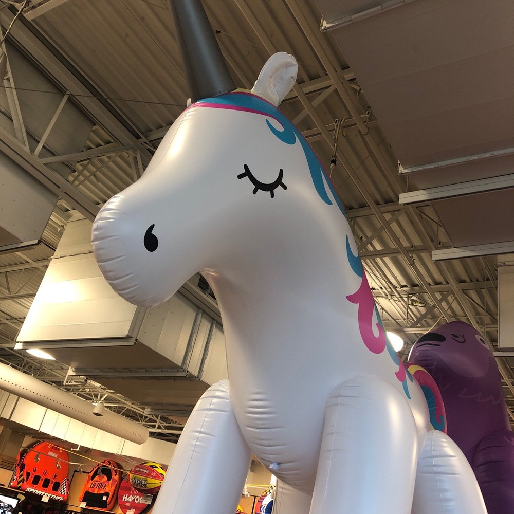 Scheels - It's a pony!!! - Sports Wear Near Me - Sparks, Nevada Scheels - It's a pony!!! - Sports Wear Near Me - Sparks, Nevada