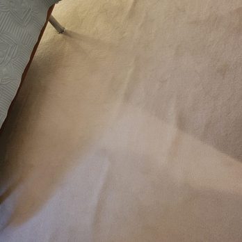 Carpetologist Carpet Repair - Ripples - Home Services Near Me Carpetologist Carpet Repair - Ripples - Home Services Near Me