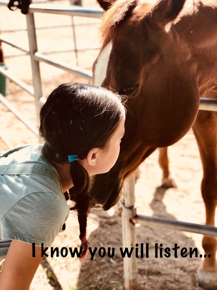 Circle TLC Ranch - social services organization in Lakeside, CA