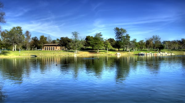 William R Mason Regional Park by null