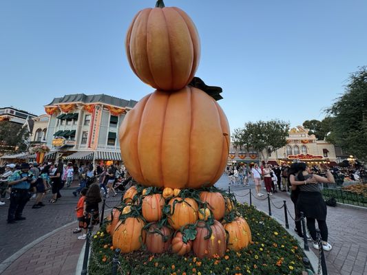 Disneyland Resort by null