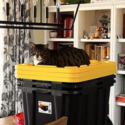 Rural King - Good price on storage bins