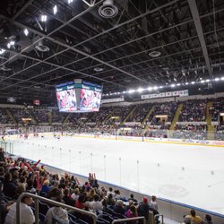 Springfield Thunderbirds
