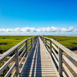 Evelynn Bernhardt - Keller Williams Realty - Follow me down the boardwalk to your perfect Cape House