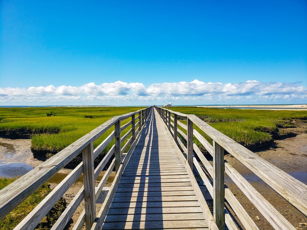 EVELYNN BERNHARDT KELLER WILLIAMS REALTY 1600 Falmouth Rd