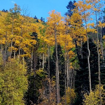 Santa Fe National Forest - More beauty - Parks Near Me