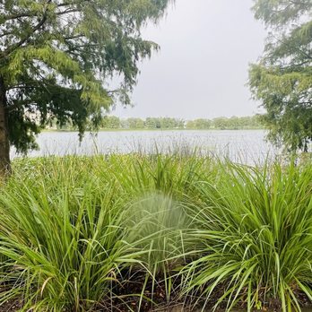 Winnie Palmer Nature Walk - Hiking Near Me - Orlando, Florida