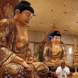 The Jinyin Temple - My girlfriend praying