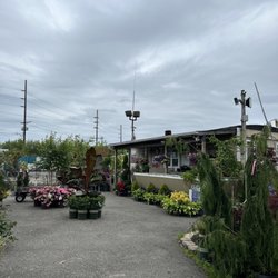 East End Trees
