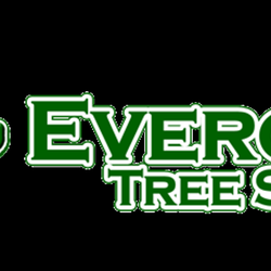 Evergreen Tree Service