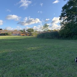Roosevelt Park - Open grass area.