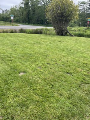 Lawn mowing - I am dedicated to providing exceptional services tailored to meet the unique needs of each client. Whether it's transforming overgrown hedges into beautifully shaped features or maintaining pristine garden borders, I take pride in my work and strive for excellence in every project. Lawn mowing - I am dedicated to providing exceptional services tailored to meet the unique needs of each client. Whether it's transforming overgrown hedges into beautifully shaped features or maintaining pristine garden borders, I take pride in my work and strive for excellence in every project.
