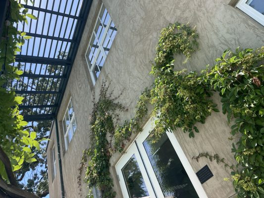 Health Spa Napa Valley by null