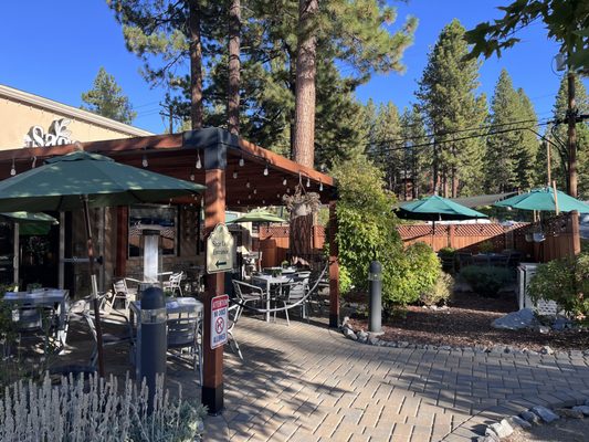 Sage Leaf Tahoe by null