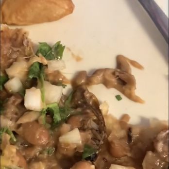 Wow-Wees Cafe - A cockroach - Breakfast & Brunch Near Me - San Marcos, Texas Wow-Wees Cafe - A cockroach - Breakfast & Brunch Near Me - San Marcos, Texas