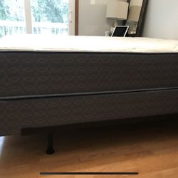 Metro Mattress Albany - The bed has an indentation. It is extremely uncomfortable for the price.