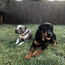 Bubba and Rufus Bubba and Rufus