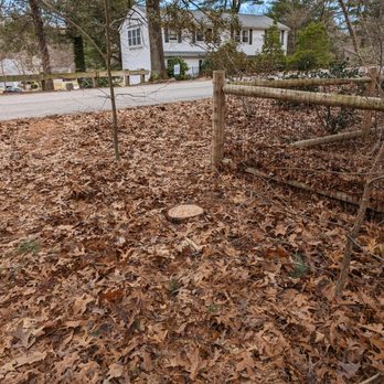 Palmer Tree Service - Tree Services Near Me - Framingham, Massachusetts