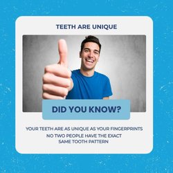 Northwest Dental Health & Aesthetics
