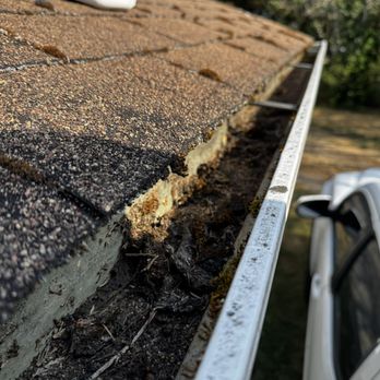 Sacco & Co - Dirty - Gutter Services Near Me - Kirkland, Washington Sacco & Co - Dirty - Gutter Services Near Me - Kirkland, Washington
