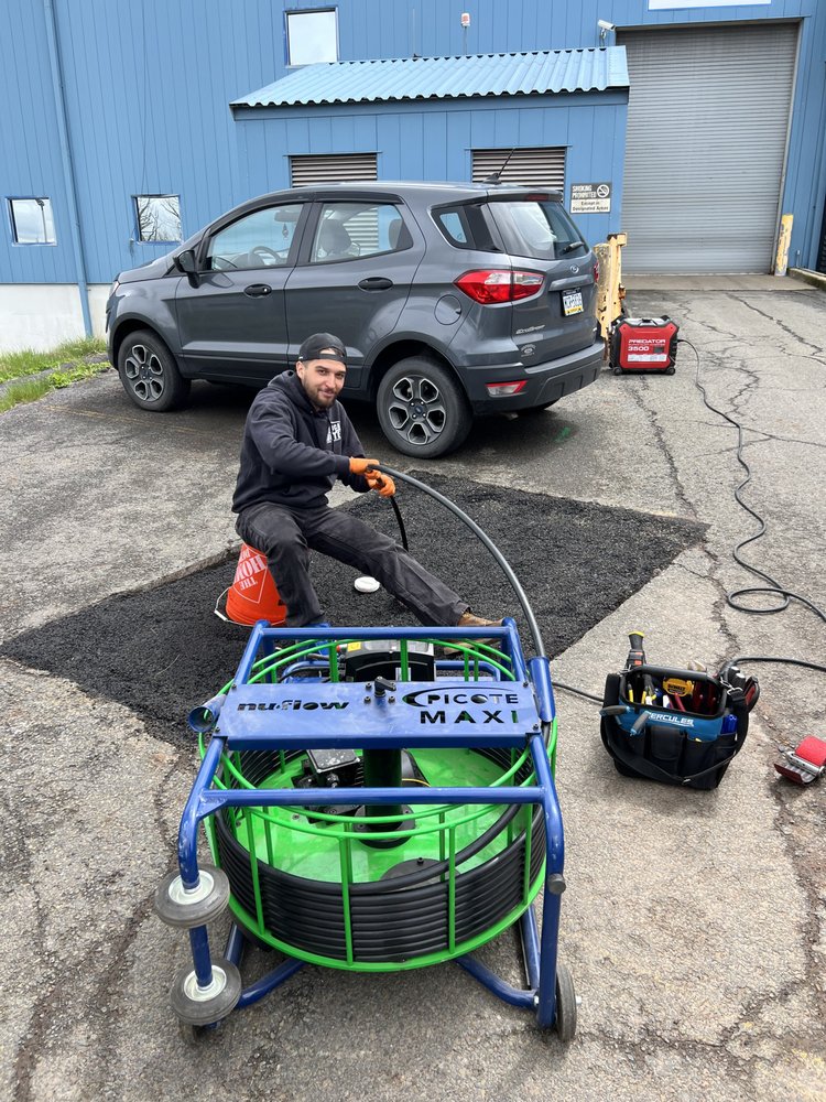 Slide of American Rooter