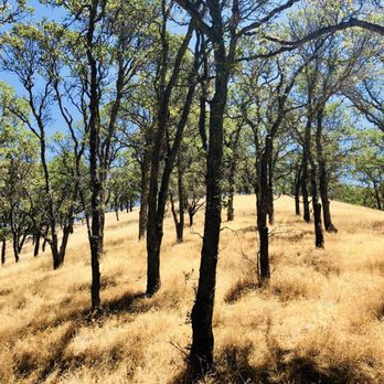 Mount Diablo State Park - Parks Near Me - Clayton, California Mount Diablo State Park - Parks Near Me - Clayton, California