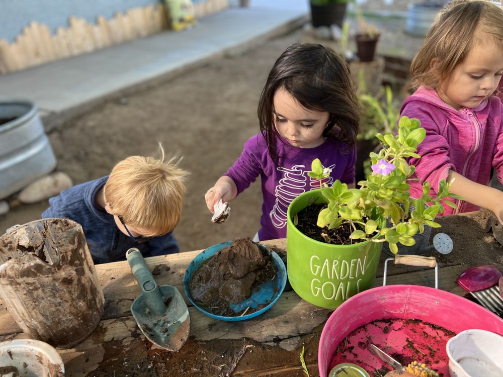 Nature's Path Montessori - childcare center in Mesa, AZ