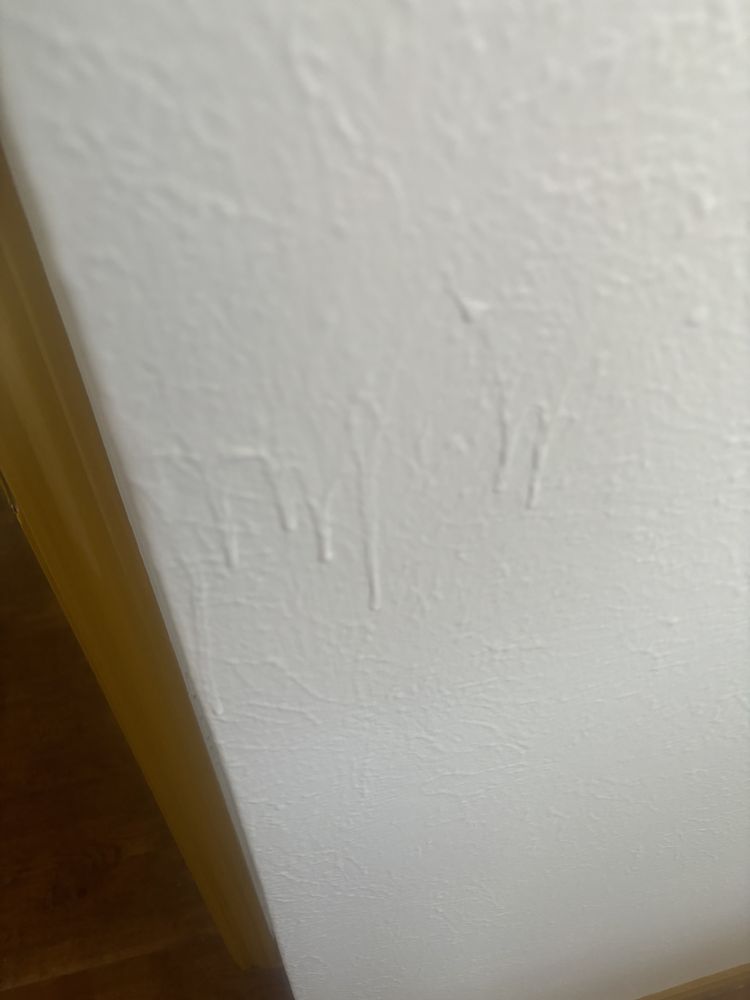 Slide of NxtLvl Roof