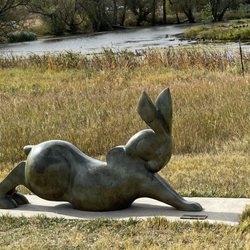 Dry Creek Greenway - Downward rabbit?