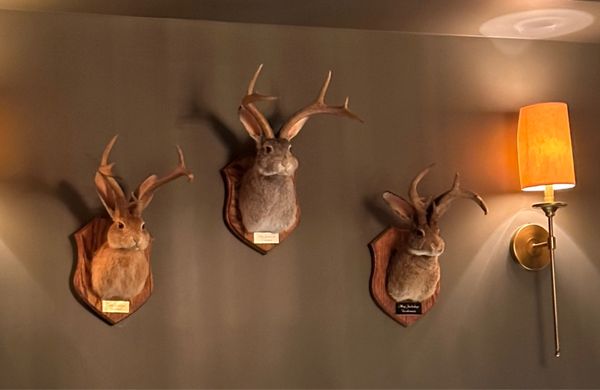 Restaurant Le Clan by null