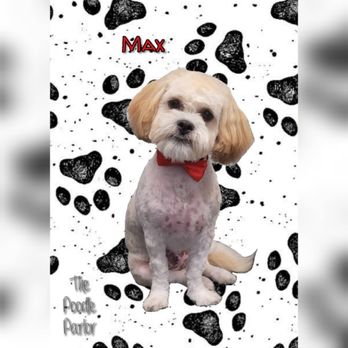 The Poodle Parlor - Pet Groomers Near Me - Pocahontas, Iowa The Poodle Parlor - Pet Groomers Near Me - Pocahontas, Iowa
