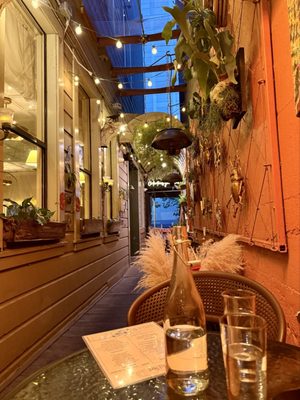 The Fly Trap by null